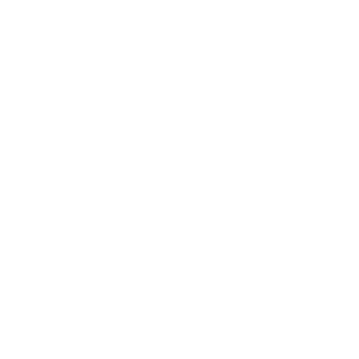 Auditing Icon